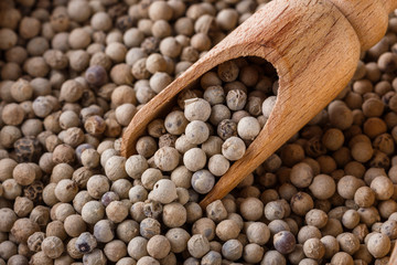 white peppercorns seed on white acrylic background