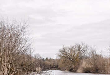 winter landscape with trees and snow