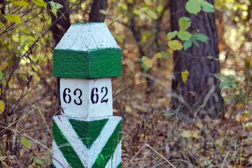 Close-up of small wooden white and green border pillar at the forest