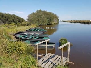 Site de Bréca Brière Loire-Atlantique
