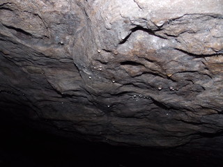 O Opilião e o Teto da Caverna © Anderson