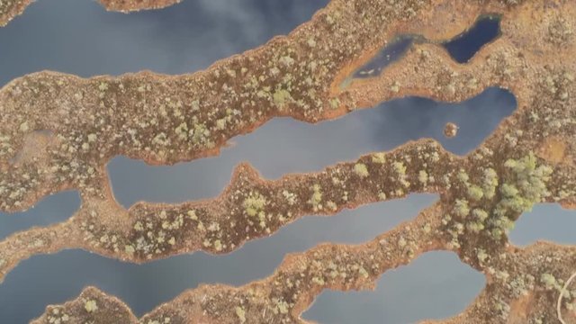 Aerial top view on huge swamps in Latvia. The Kemeri Boardwalk is a famous tourist destination in Kemeri National Park. Beautiful winding shores and blue water. Aerial shooting from the drone.