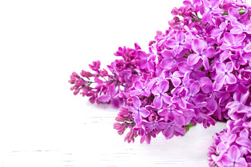 Bouquet of lilac flowers isolated on white background. Syringa vulgaris. Copy space. Greeting card.