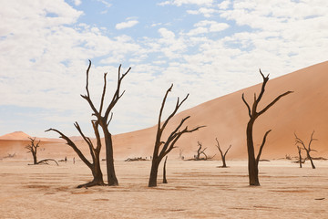 Fototapeta na wymiar Namibian desert landscape
