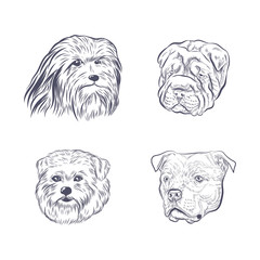 Dog heads collection vector sketch. Purebred dog faces isolated on white background.