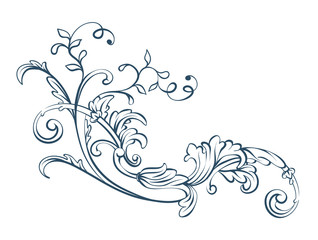 Floral decorative vector elements, rococo and baroque style