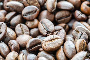 Aromatic roasted coffee beans macro view.