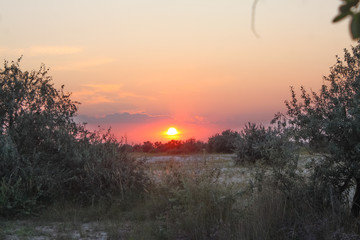 The coast of Jarylgach Island on sunset, Ukraine, Black Sea.