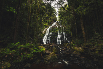 Nelson Falls, a cascade waterfall, is located in the UNESCO World Heritage–listed Tasmanian Wilderness, in the West Coast region of Tasmania, Australia