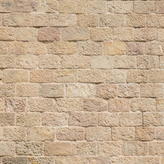 Fototapeta premium Old grunge brick wall texture