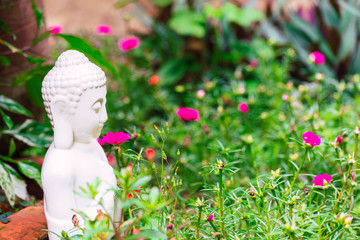 a small buda statue in the garden