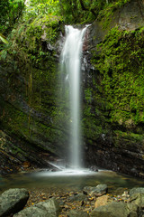 Fototapeta na wymiar Juan Diego Falls, El Yunque, Puerto Rico