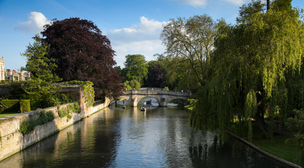 Fototapeta premium Cambridge canal - summer punting
