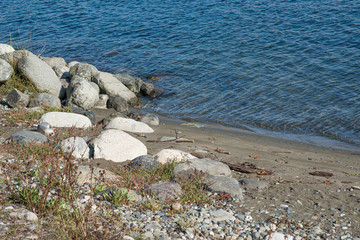 rocks on the beach