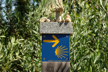 Señalización del Camino de Santiago Portugués de la Costa.
