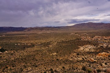 Spectacular landscape views in Joshua National Park