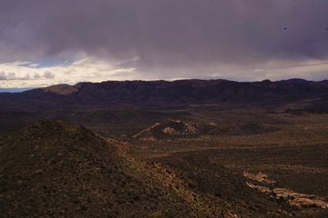 Spectacular landscape views in Joshua National Park