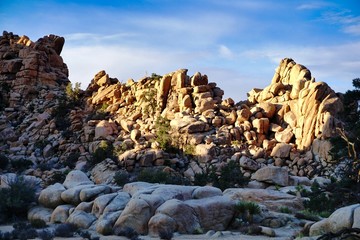 Spectacular landscape views in Joshua National Park