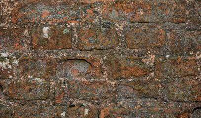 Grunge texture of a brick wall closeup