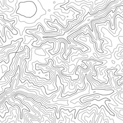 Topographic map background. Grid map. Abstract vector illustration.