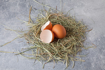 An egg with egg shells in a nest, on a gray background