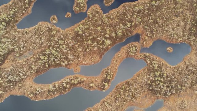 Aerial top view on huge swamps in Latvia. The Kemeri Boardwalk is a famous tourist destination in Kemeri National Park. Beautiful winding shores and blue water. Aerial shooting from the drone.