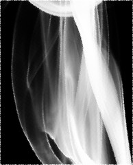 Abstract white smoke texture on black background vector