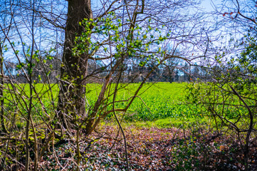 a wide shot of  fields during a  bright cloudless day