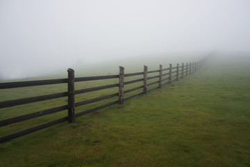 Fototapeta premium fence in the field