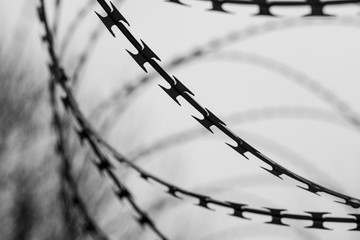 Monochrome photo of detail of barbed wire. Steel border. Prison, military or quarantine concept
