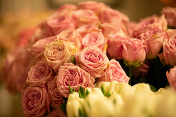 close up colourful many fresh roses
