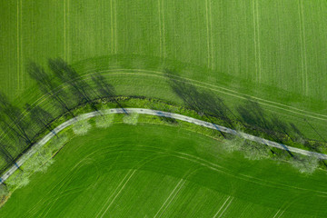 Aerial view on a asphalt road separated two cultivated fields. Top view on a motorway between farmers lands