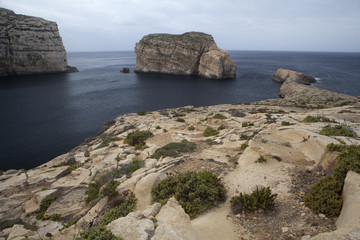 Fungus Rock