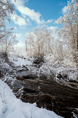 Fototapeta na wymiar Winter landscape with river Vizla going through the snowy forest park.