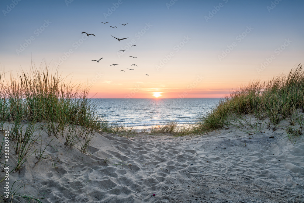 Wall mural sand dunes on the beach at sunset