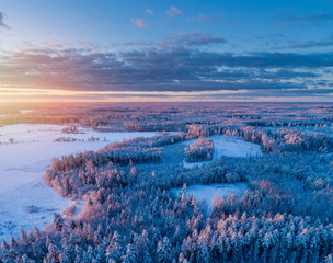 Birds eye view of a pink winter sunrise over snow covered forest