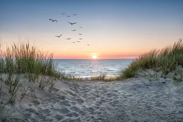 Deurstickers Noordzee, Nederland Zandduinen op het strand bij zonsondergang