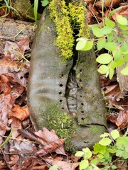 Found - one lost shoe