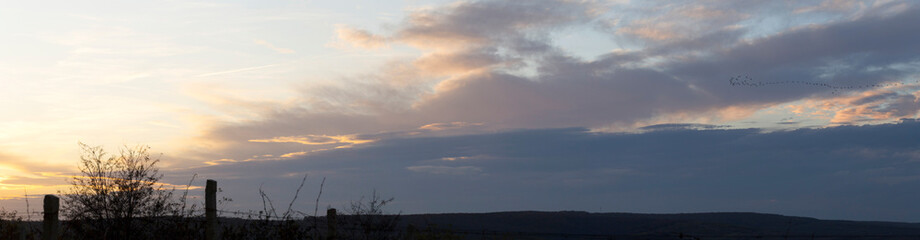 Fototapeta premium Tree against the setting sun. Landscape with bloody sunset. The terrain in southern Europe. Tragic gloomy sky. Purple-magenta clouds.