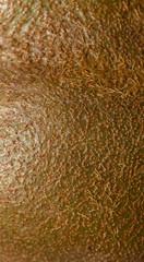 Kiwi skin close up details macro image as background image.