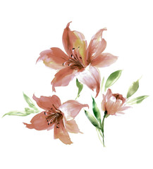 Naklejka premium Flowers watercolor illustration.Manual composition.Big Set watercolor elements，Design for textile, wallpapers，Element for design,Greeting card