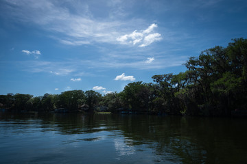 Lake Shore With Forest and Blue Sky And White Clouds