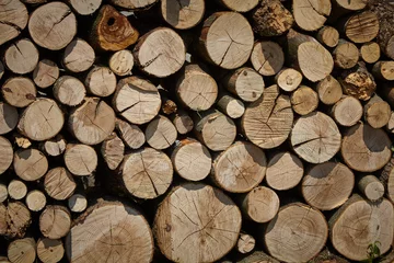 Möbelaufkleber Firewood background. Old wooden texture. © zicksvift