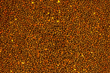rapeseed grain light brown many seeds background harvest oil pattern