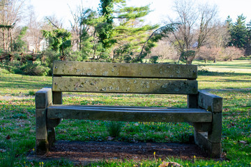 An Old Park Bench With a Fallen Tree Behind It