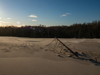 Moving dunes near Leba, at the shore of Baltic Sea.