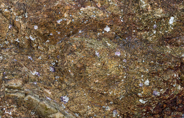 stone texture cobble closeup beige brown mineral weathered base background