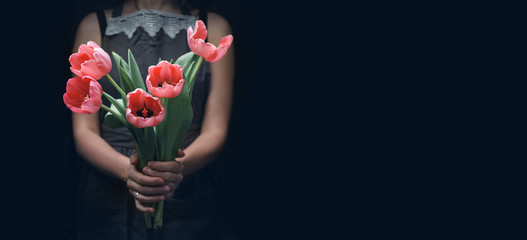 Woman hands holding pink tulips flowers on dark background with light. Happy Easter holiday, Valentine's day, Woman Day, selective focus