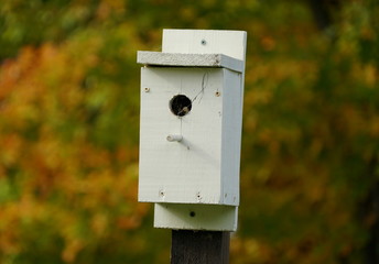 A painted white wooden single bird house