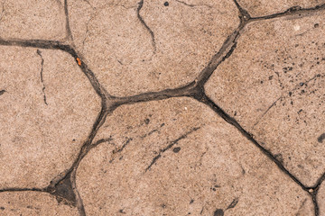 Fototapeta premium brown stone texture mural block curved lines wall solid base